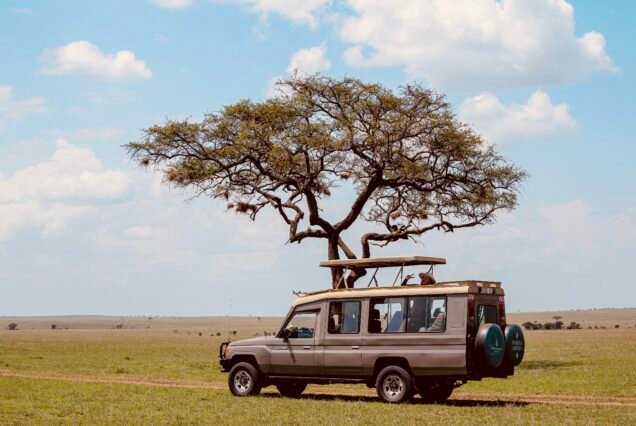 Zanzibar-TOA Hotel & Spa